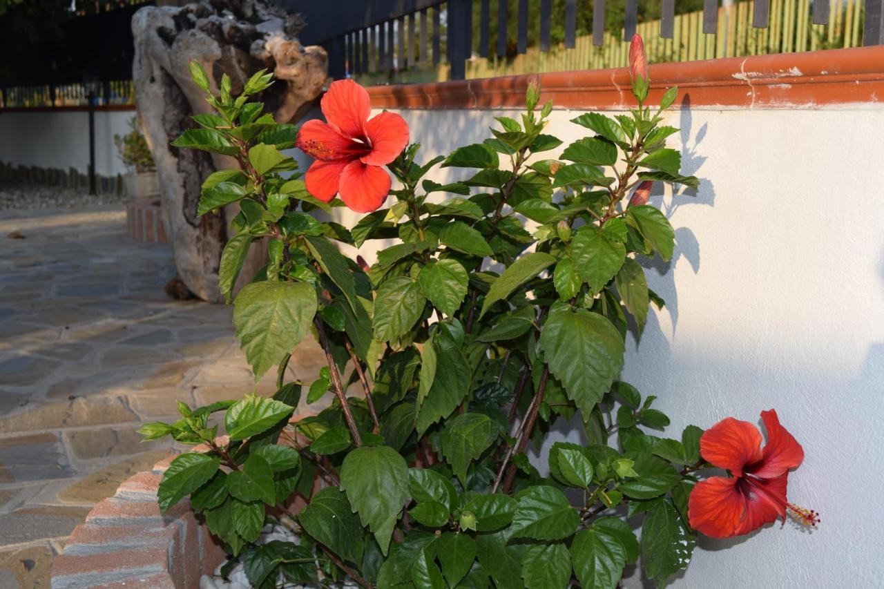 Apartament La Casa Di Ely Agropoli Zewnętrze zdjęcie